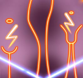 Urologie/Gynekologie